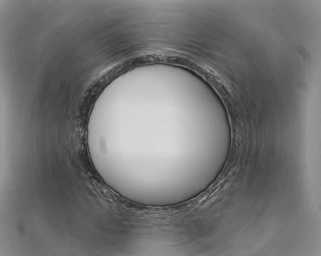 X0000112820822200908210958