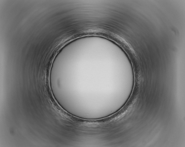 X0000112820825200908210958