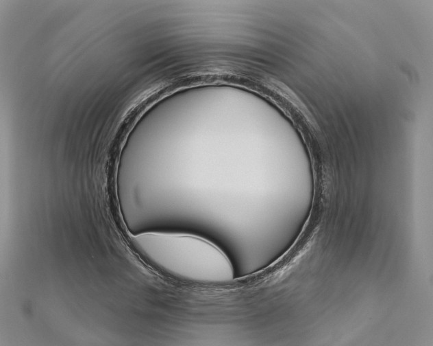 X0000112820826200908210958