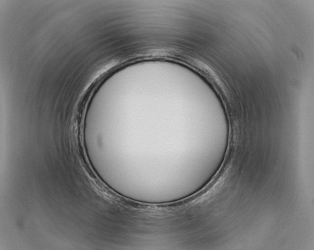 X0000112820827200908210958