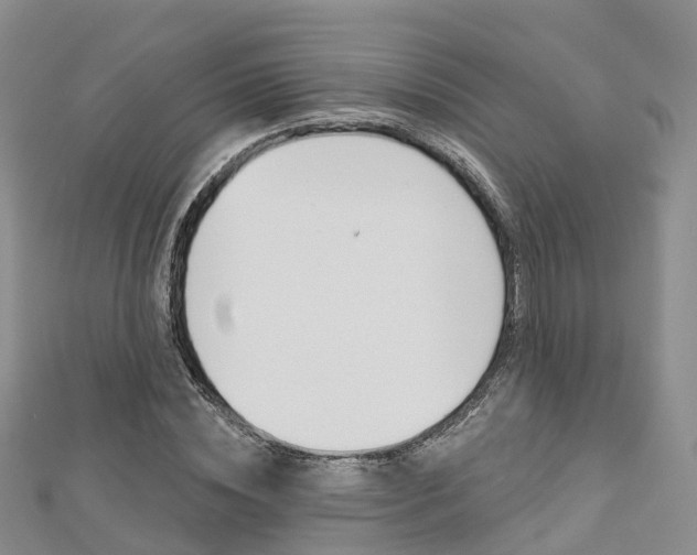 X0000112820828200908210958