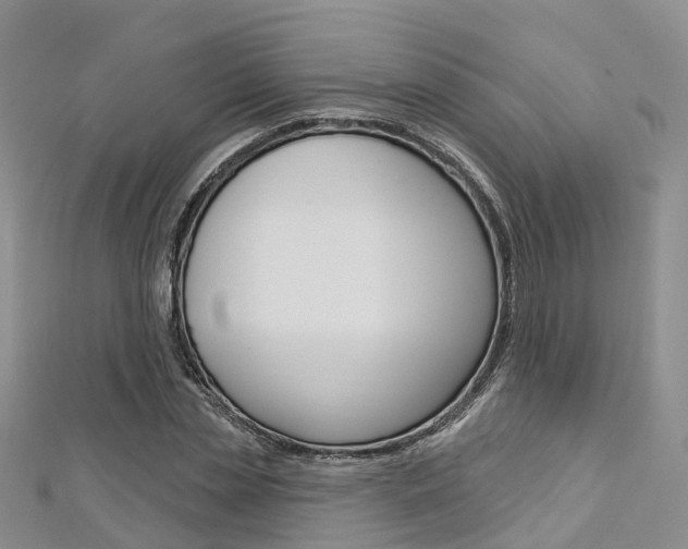 X0000112820829200908210958