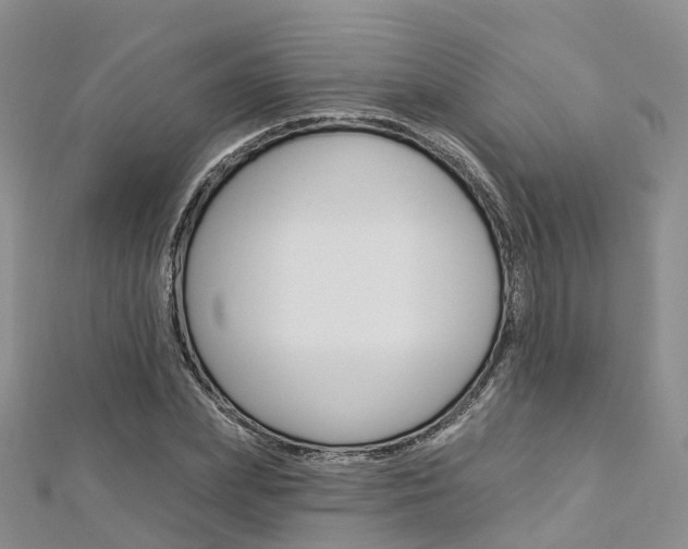 X0000112820831200908210958