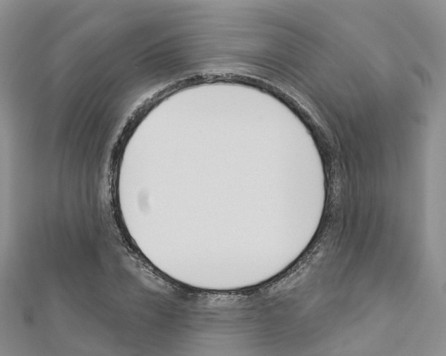 X0000112820832200908210958