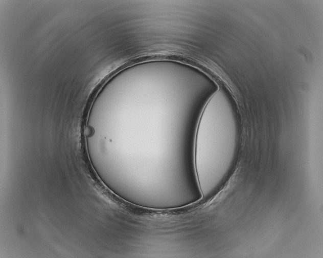 X0000112820834200908210958