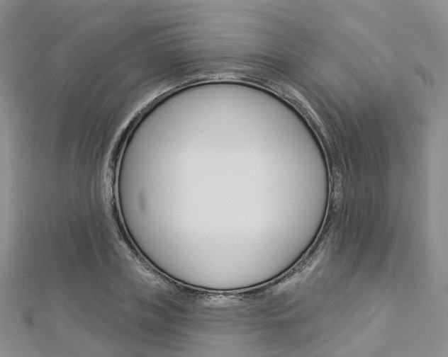 X0000112820835200908210958