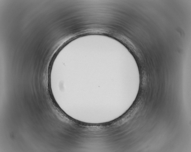 X0000112820836200908210958