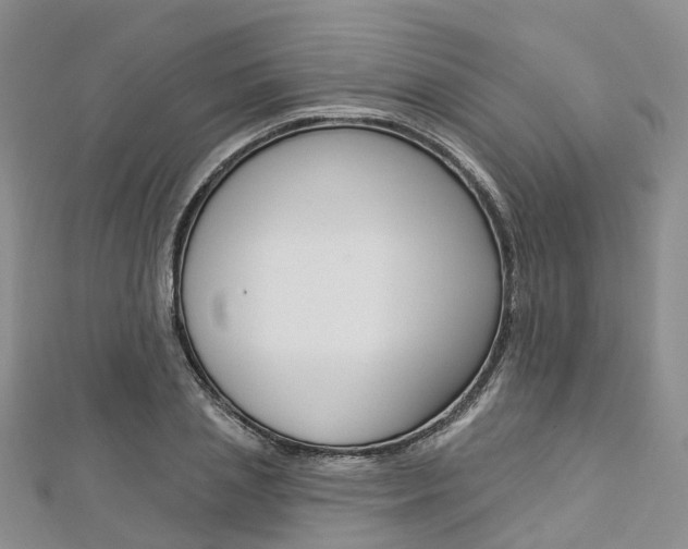 X0000112820837200908210958