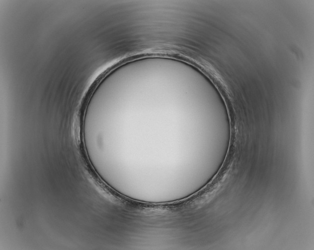 X0000112820838200908210958