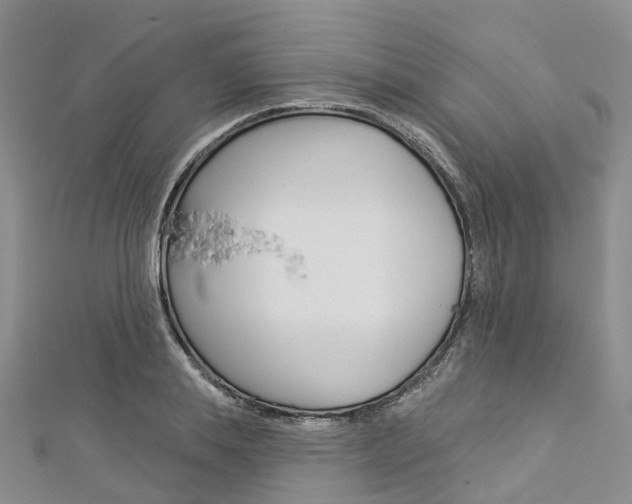 X0000112820839200908210958