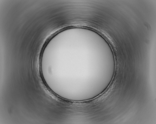 X0000112820840200908210958