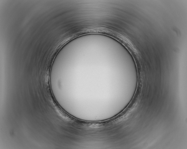 X0000112820841200908210958