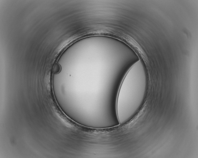 X0000112820842200908210958