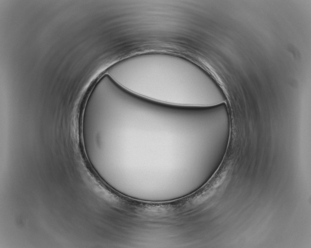 X0000112820843200908210958