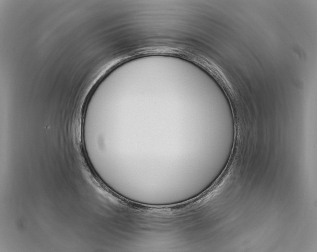 X0000112820844200908210958