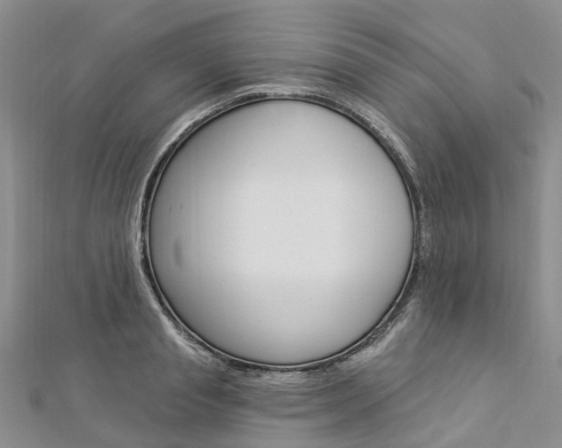 X0000112820845200908210958