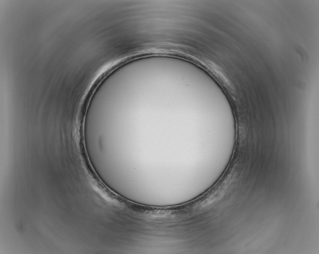 X0000112820846200908210958