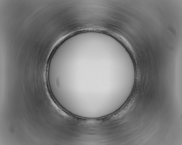 X0000112820847200908210958