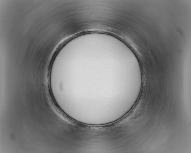 X0000112820848200908210958