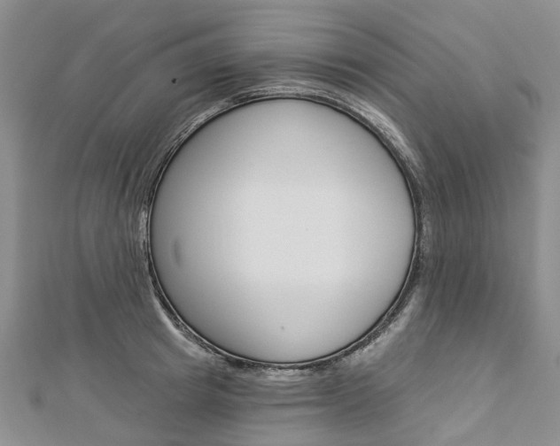 X0000112820849200908210958