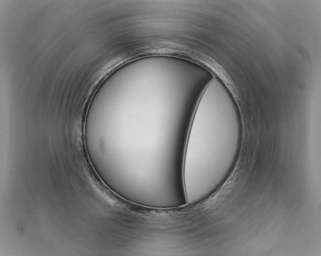 X0000112820850200908210958