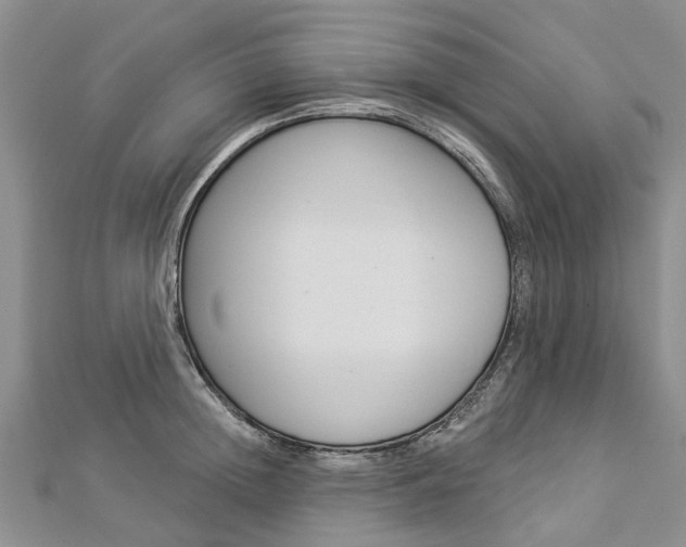 X0000112820852200908210958