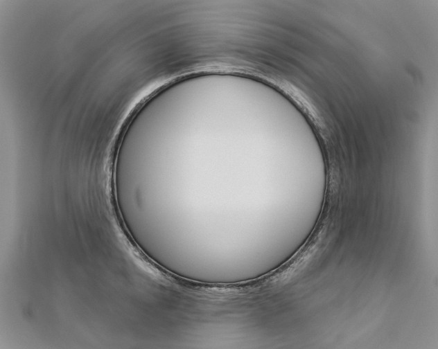 X0000112820854200908210958
