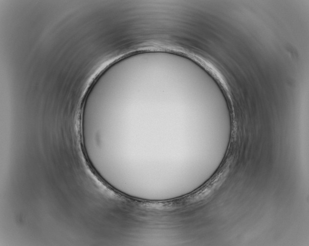 X0000112820855200908210958