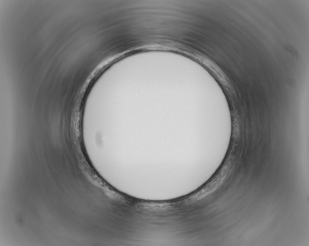 X0000112820856200908210958