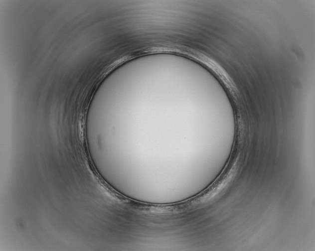 X0000112820857200908210958