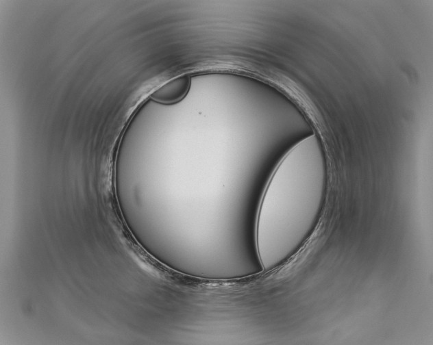 X0000112820858200908210958