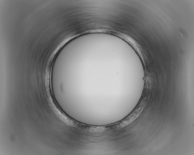 X0000112820859200908210959