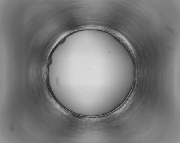 X0000112820860200908210959