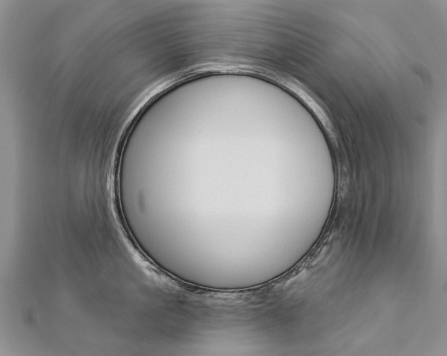 X0000112820861200908210959