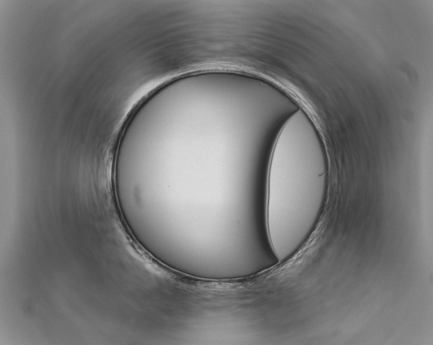 X0000112820862200908210959