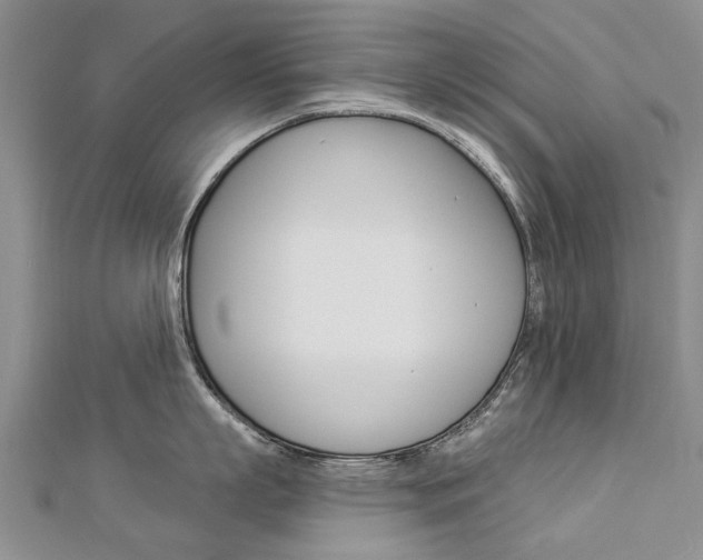 X0000112820863200908210959