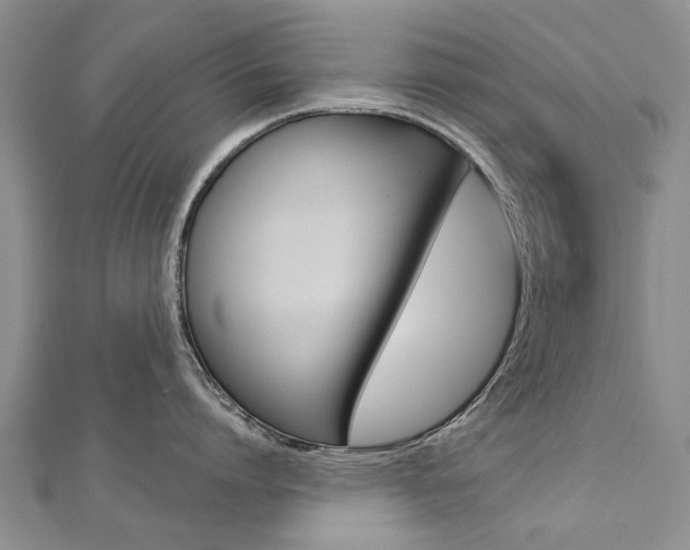 X0000112820864200908210959