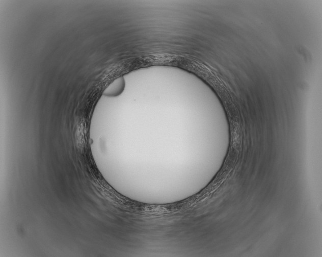 X0000112820866200908210958