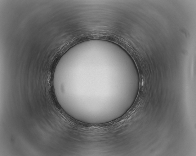 X0000112820867200908210958