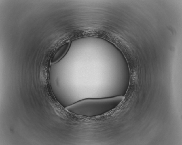 X0000112820868200908210958