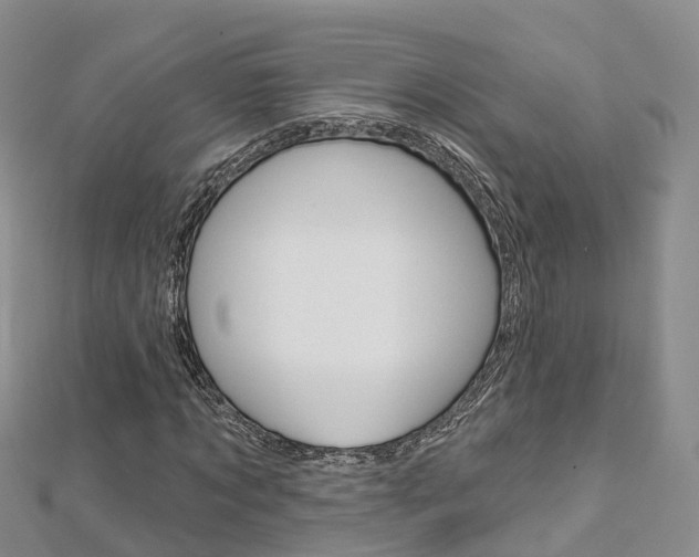X0000112820869200908210958