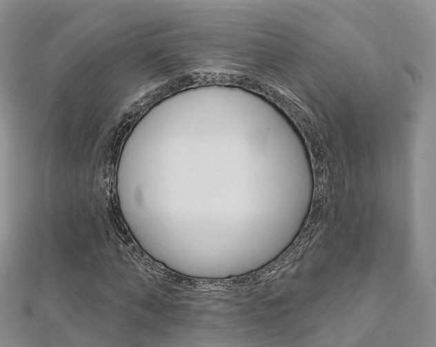 X0000112820870200908210958