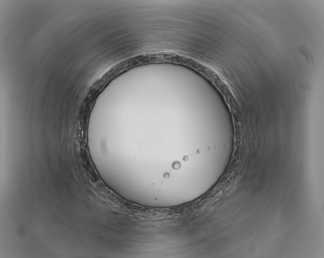 X0000112820871200908210958