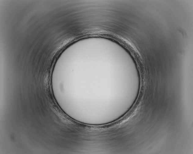 X0000112820873200908210958