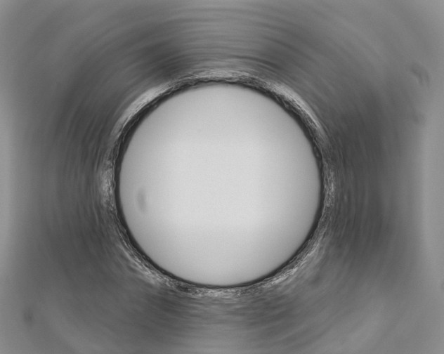 X0000112820874200908210958