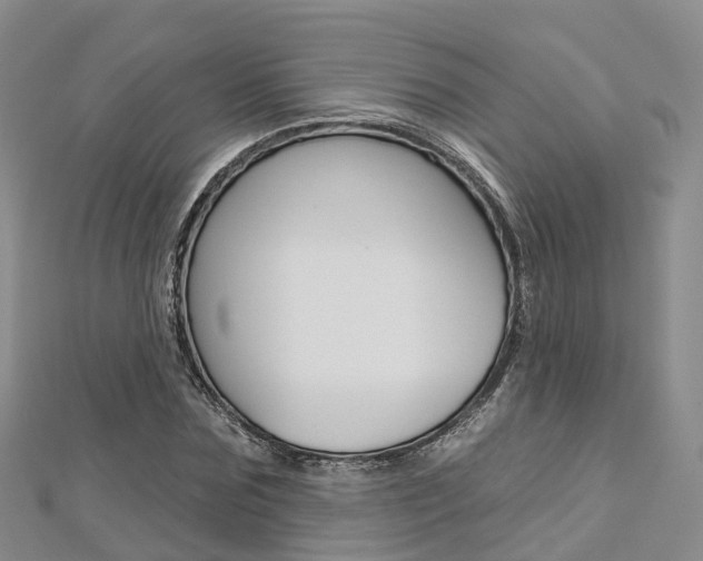 X0000112820875200908210958