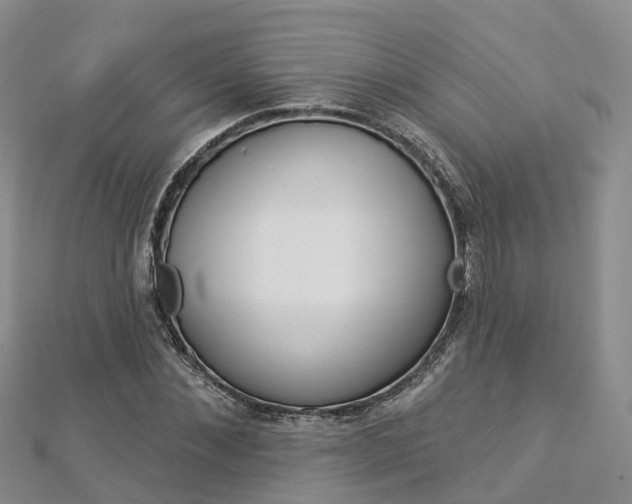 X0000112820876200908210958
