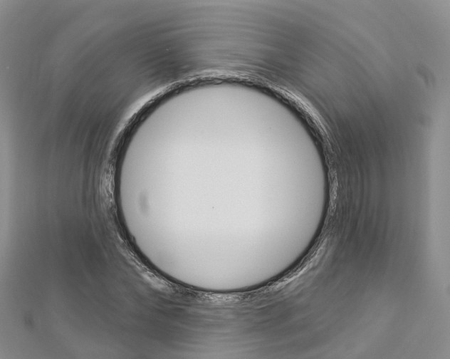 X0000112820878200908210958