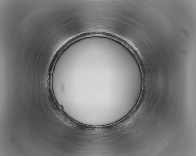 X0000112820879200908210958