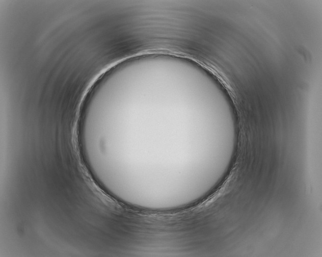 X0000112820880200908210958